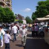 DSCF1071.JPG
