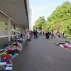 IMG 5311.JPG